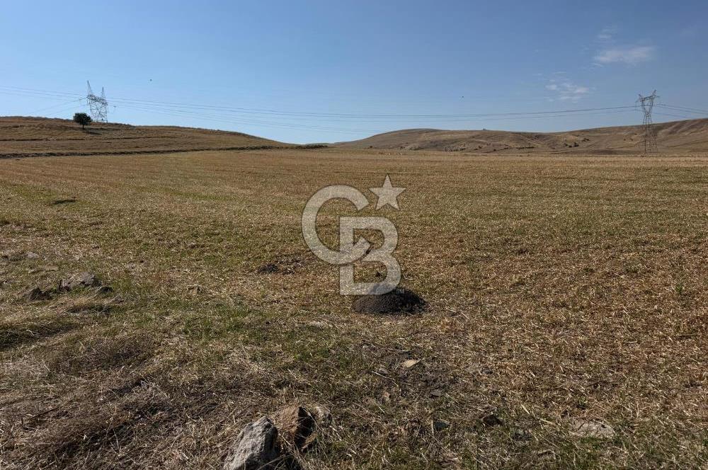 GÜDÜL GÜNEYCEDE KONUT-TURİZM İMARLI ARSA