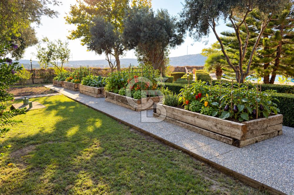 ÇEŞME FAHRETTİN PAŞA'DA 3.771 M² ARAZİDE, ÖZEL PEYZAJLI 6+1 VİLLA