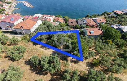 MUDANYA KUMYAKA'DA DENİZE YAKIN SATILIK ARSA