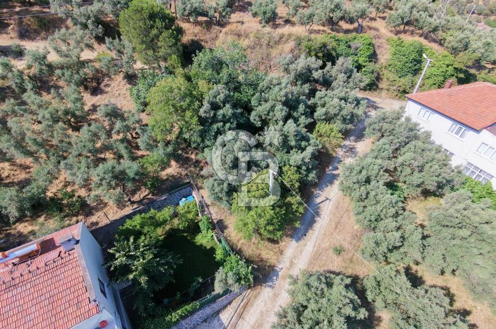 MUDANYA KUMYAKA'DA DENİZE YAKIN SATILIK ARSA