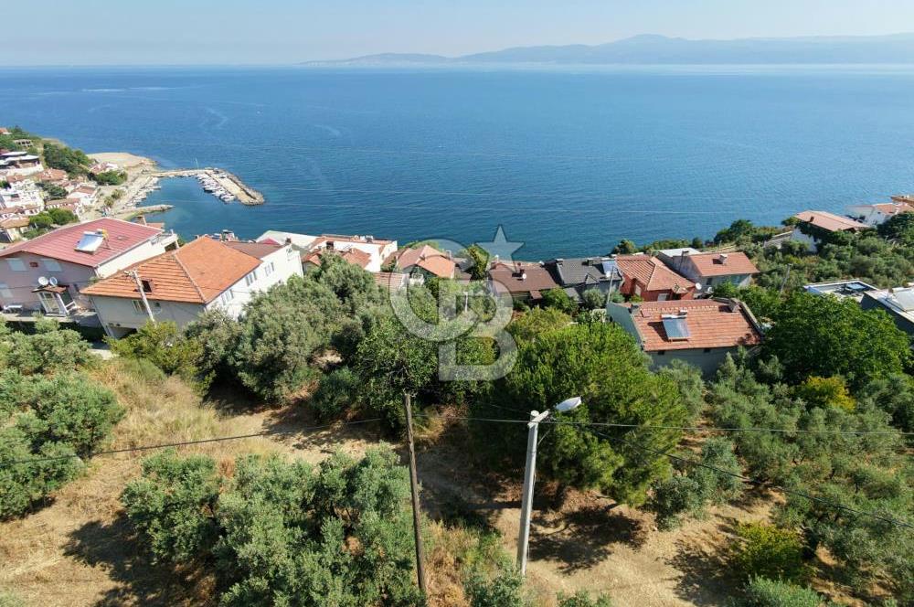 MUDANYA KUMYAKA'DA DENİZE YAKIN SATILIK ARSA