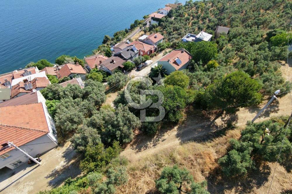 MUDANYA KUMYAKA'DA DENİZE YAKIN SATILIK ARSA