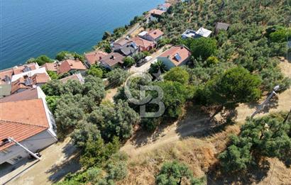 MUDANYA KUMYAKA'DA DENİZE YAKIN SATILIK ARSA
