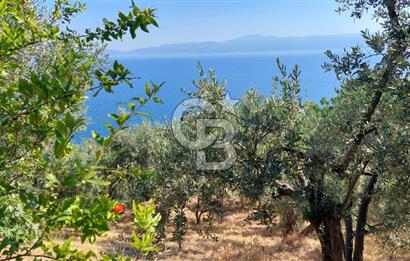 MUDANYA KUMYAKA'DA DENİZE YAKIN SATILIK ARSA