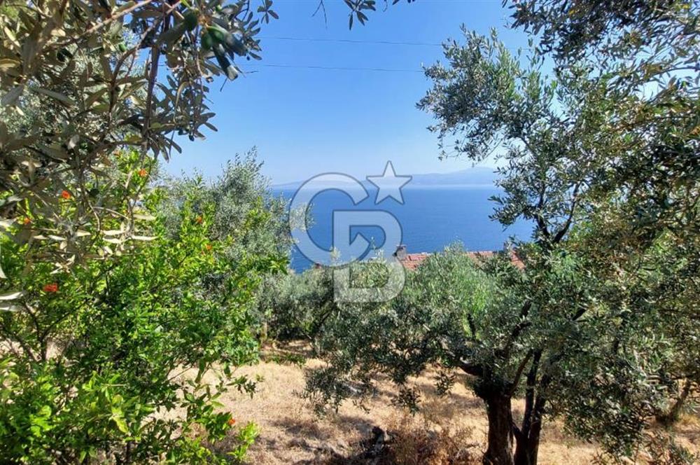 MUDANYA KUMYAKA'DA DENİZE YAKIN SATILIK ARSA