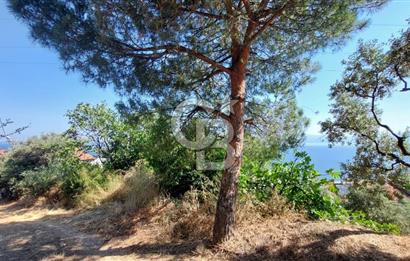 MUDANYA KUMYAKA'DA DENİZE YAKIN SATILIK ARSA