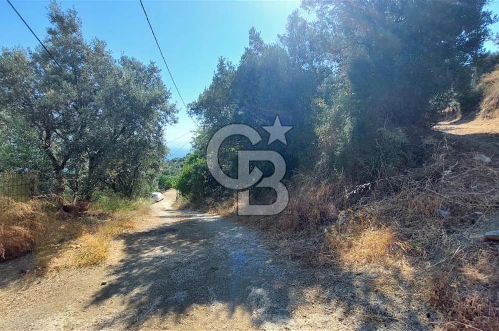 MUDANYA KUMYAKA'DA DENİZE YAKIN SATILIK ARSA