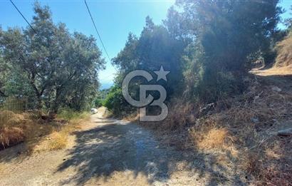 MUDANYA KUMYAKA'DA DENİZE YAKIN SATILIK ARSA