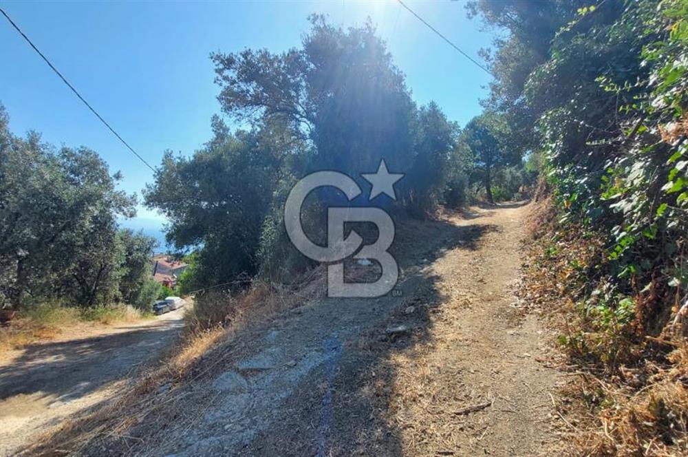 MUDANYA KUMYAKA'DA DENİZE YAKIN SATILIK ARSA