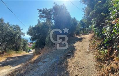 MUDANYA KUMYAKA'DA DENİZE YAKIN SATILIK ARSA