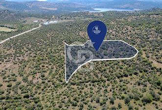  ALİAĞA KALABAK KÖYÜNDE 9.700 m² SATILIK TARLA - 11 - 377131