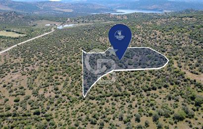  ALİAĞA KALABAK KÖYÜNDE 9.700 m² SATILIK TARLA