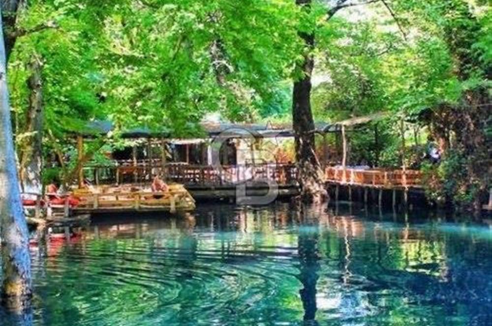 MUĞLA ORTACA DALYAN'DA DEVREN KİRALIK RESTORAN & LOKANTA