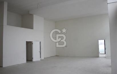 DEMIRTAS KIRALIK DUKKAN