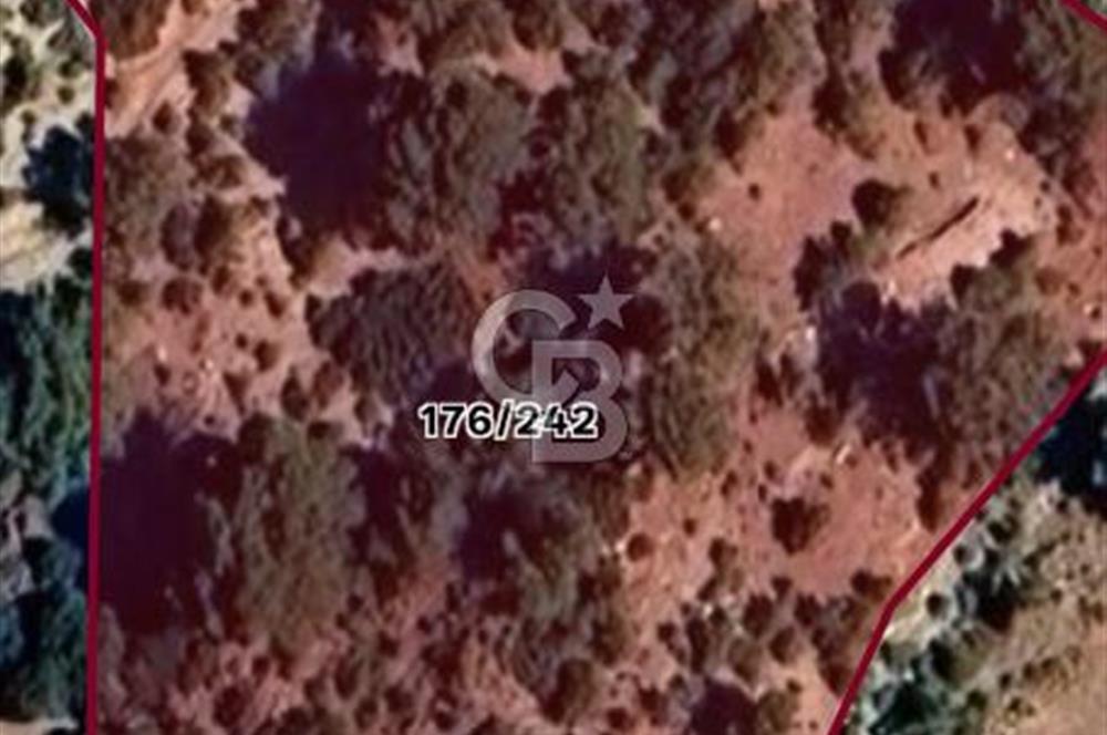 KAŞ KALKAN ÇAVDIR MAH'DE TEK TAPU SATILIK UYGUN FİYAT TARLA
