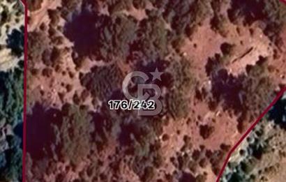 KAŞ KALKAN ÇAVDIR MAH'DE TEK TAPU SATILIK UYGUN FİYAT TARLA
