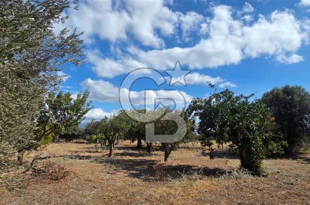 Narlıdere Sahilevlerinde 4070 m2 Malikane Arsası