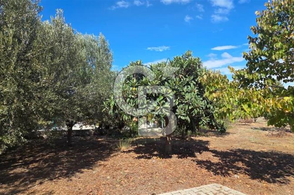 Narlıdere Sahilevlerinde 4070 m2 Malikane Arsası