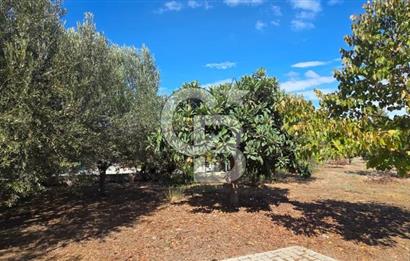 Narlıdere Sahilevlerinde 4070 m2 Malikane Arsası