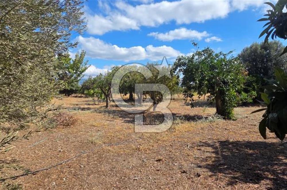 Narlıdere Sahilevlerinde 4070 m2 Malikane Arsası