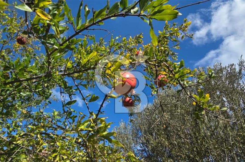 Narlıdere Sahilevlerinde 4070 m2 Malikane Arsası
