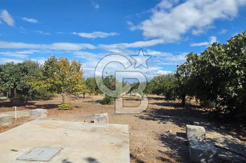 Narlıdere Sahilevlerinde 4070 m2 Malikane Arsası
