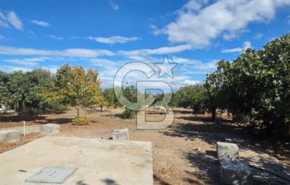 Narlıdere Sahilevlerinde 4070 m2 Malikane Arsası