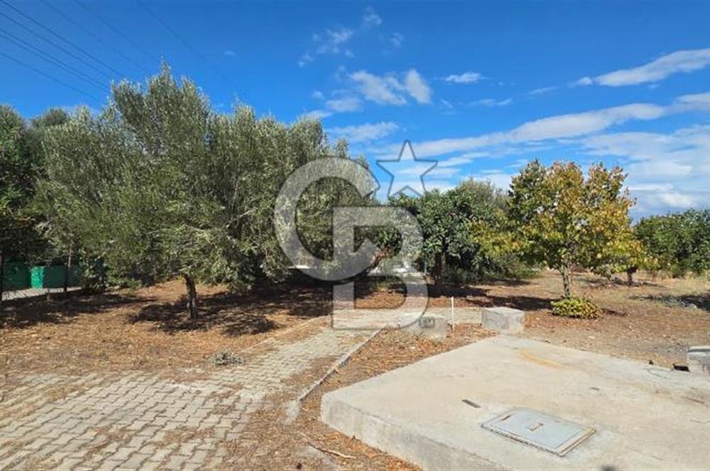 Narlıdere Sahilevlerinde 4070 m2 Malikane Arsası