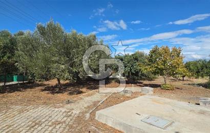 Narlıdere Sahilevlerinde 4070 m2 Malikane Arsası