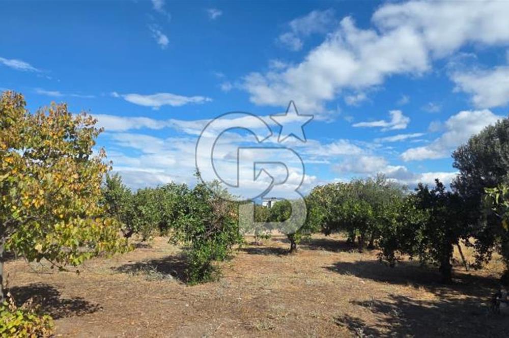 Narlıdere Sahilevlerinde 4070 m2 Malikane Arsası