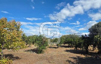 Narlıdere Sahilevlerinde 4070 m2 Malikane Arsası