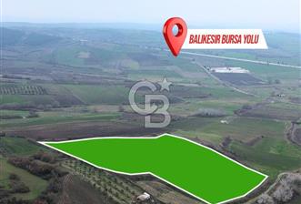 KIRKLARELİ KAYALI KÖYÜ SATILIK TARLA - 1 - 377189