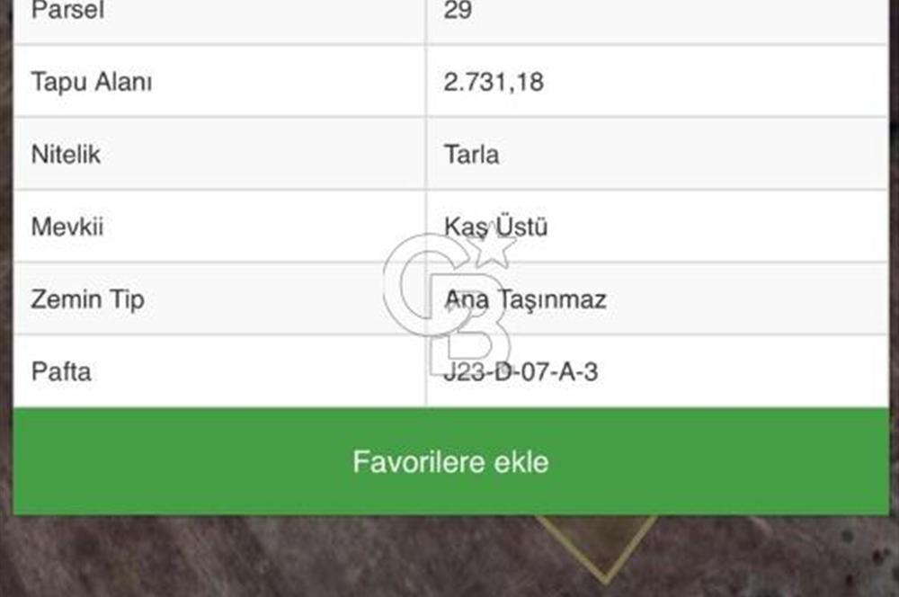 KÜTAHYA ÇAVDARHİSAR İLÇESİ DEMİROLUK KÖYÜNDE YATIRIMLIK ARAZİ