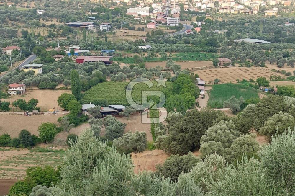 BEYDAĞ’DA ŞEHİR VE DOĞA MANZARALI SATILIK MÜSTAKİL ZEYTİNLİK