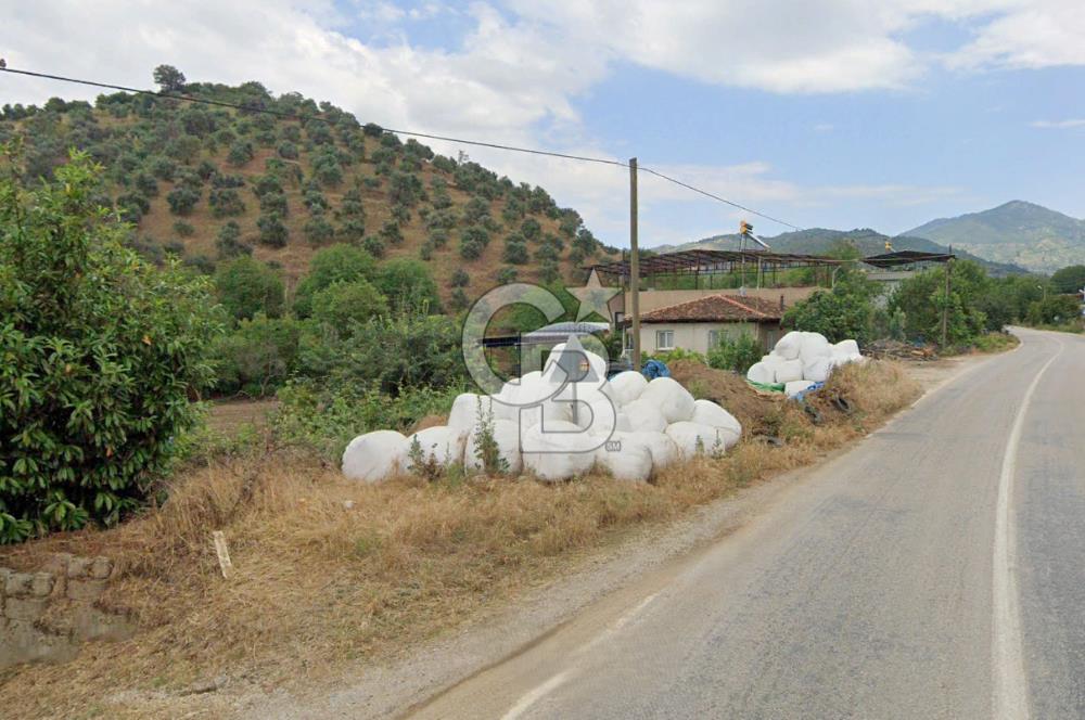 BEYDAĞ’DA ŞEHİR VE DOĞA MANZARALI SATILIK MÜSTAKİL ZEYTİNLİK