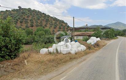 BEYDAĞ’DA ŞEHİR VE DOĞA MANZARALI SATILIK MÜSTAKİL ZEYTİNLİK