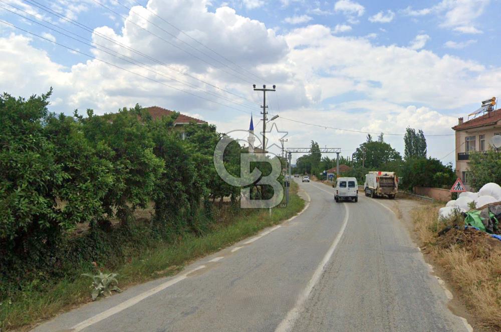 BEYDAĞ’DA ŞEHİR VE DOĞA MANZARALI SATILIK MÜSTAKİL ZEYTİNLİK