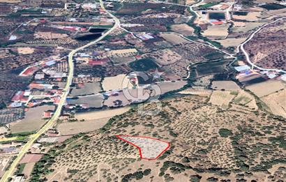 BEYDAĞ’DA ŞEHİR VE DOĞA MANZARALI SATILIK MÜSTAKİL ZEYTİNLİK