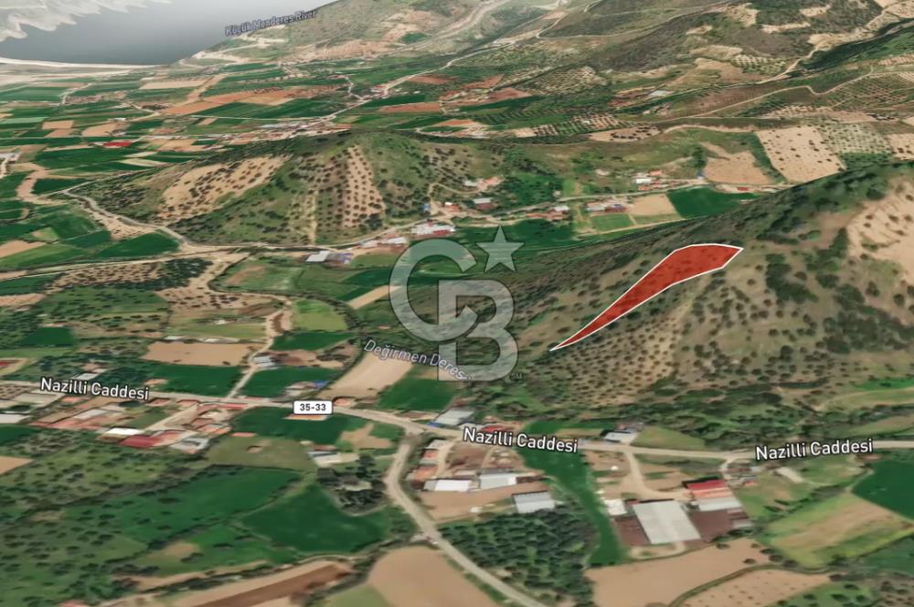BEYDAĞ’DA ŞEHİR VE DOĞA MANZARALI SATILIK MÜSTAKİL ZEYTİNLİK