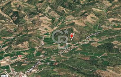 BEYDAĞ’DA ŞEHİR VE DOĞA MANZARALI SATILIK MÜSTAKİL ZEYTİNLİK