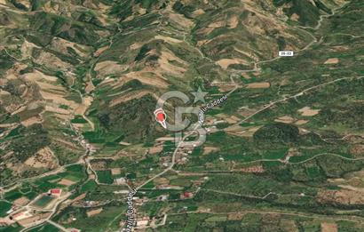 BEYDAĞ’DA ŞEHİR VE DOĞA MANZARALI SATILIK MÜSTAKİL ZEYTİNLİK