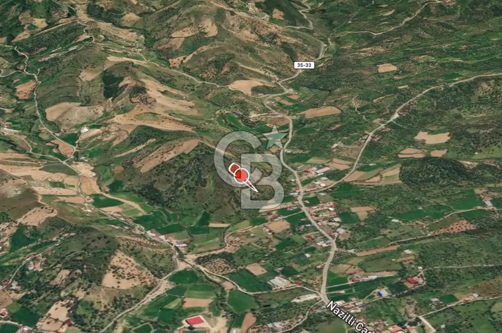 BEYDAĞ’DA ŞEHİR VE DOĞA MANZARALI SATILIK MÜSTAKİL ZEYTİNLİK