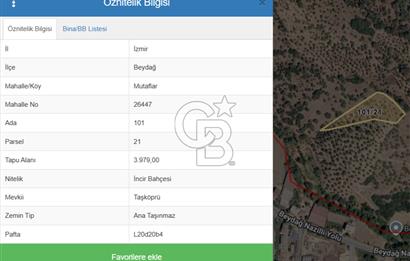 BEYDAĞ’DA ŞEHİR VE DOĞA MANZARALI SATILIK MÜSTAKİL ZEYTİNLİK