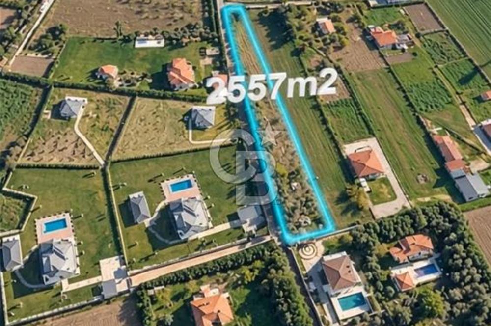 🌿 ÇATALCA OVAYENİCE’DE VİLLALAR ARASINDA 2.557 M² TARLA