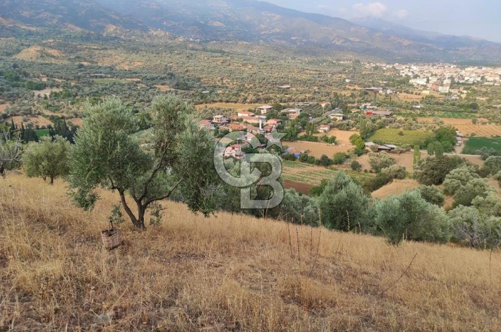 BEYDAĞ’DA ŞEHİR VE DOĞA MANZARALI SATILIK MÜSTAKİL ZEYTİNLİK