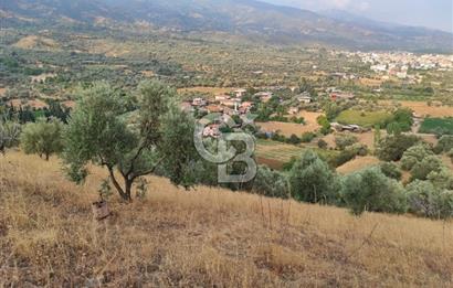 BEYDAĞ’DA ŞEHİR VE DOĞA MANZARALI SATILIK MÜSTAKİL ZEYTİNLİK