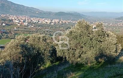 BEYDAĞ’DA ŞEHİR VE DOĞA MANZARALI SATILIK MÜSTAKİL ZEYTİNLİK