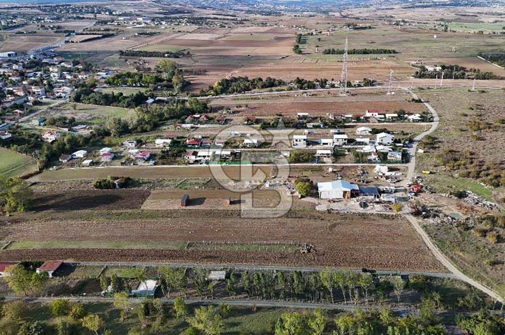 İzettin 5523m2 tek tapu tarla