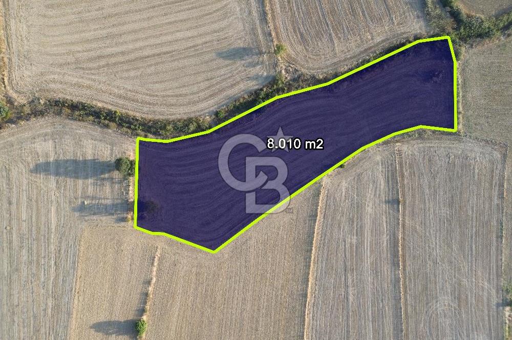 ÇANAKKALE ECEABAT KUMKÖYDE 8 DÖNÜM TARLA