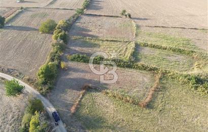 ÇANAKKALE ECEABAT KUMKÖYDE 1.442 M² SATILIK TARLA